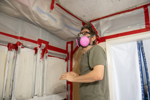 Best Crawl Space Mold Remediation  in Wilmerding, PA