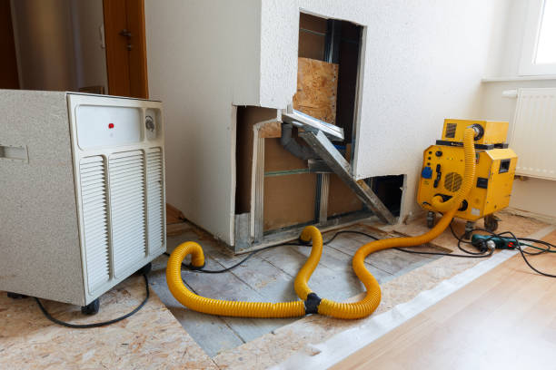  Wilmerding, PA Mold Removal Pros